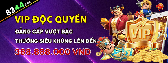 Hình ảnh quảng cáo của shbe hiển thị nền tảng và các lợi ích