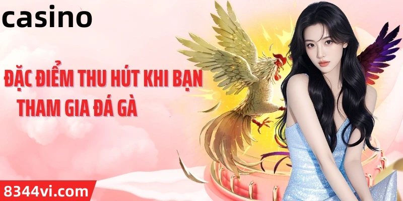 Hình ảnh quảng cáo của shbe hiển thị nền tảng và các lợi ích