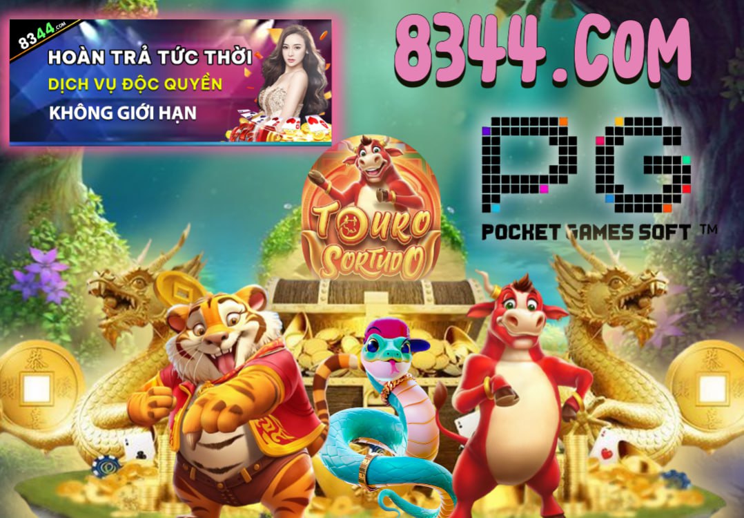Hình ảnh quảng cáo của shbe hiển thị nền tảng và các lợi ích